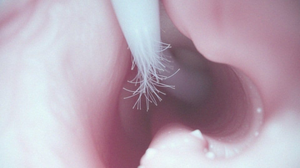 Jakie struktury wspierają oczyszczanie powietrza w drogach oddechowych?