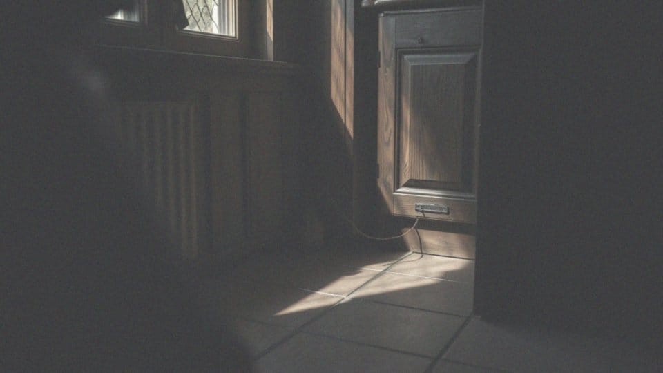 Gdzie najlepiej umieścić pułapkę na myszy?