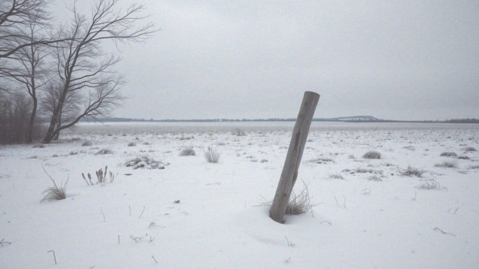 Ile dni trwa wojna na Ukrainie?