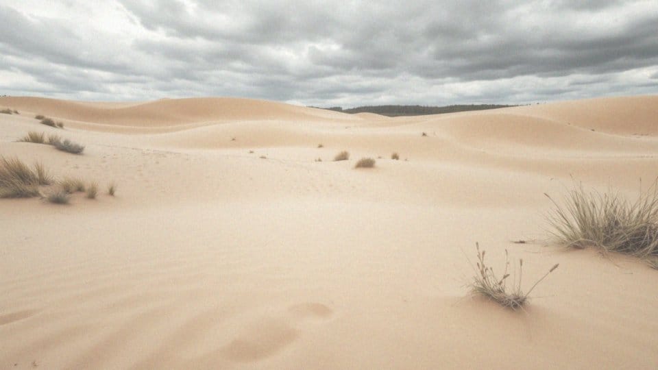 Dlaczego Pustynia Błędowska to wyjątkowe miejsce na każdą porę roku?