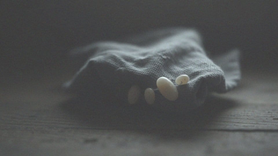 Ile żyje gnida bez żywiciela? Odkryj fakty na temat wszy