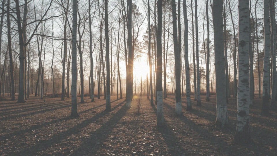 Kortyzol za co odpowiada? Kluczowe funkcje hormonu stresu