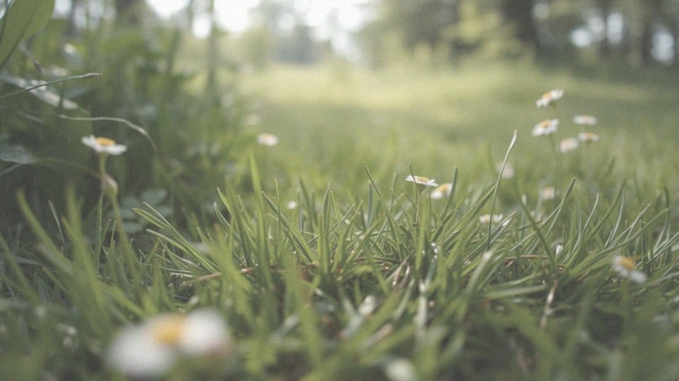 Opuchlizna po ugryzieniu owada – objawy, przyczyny i sposoby łagodzenia