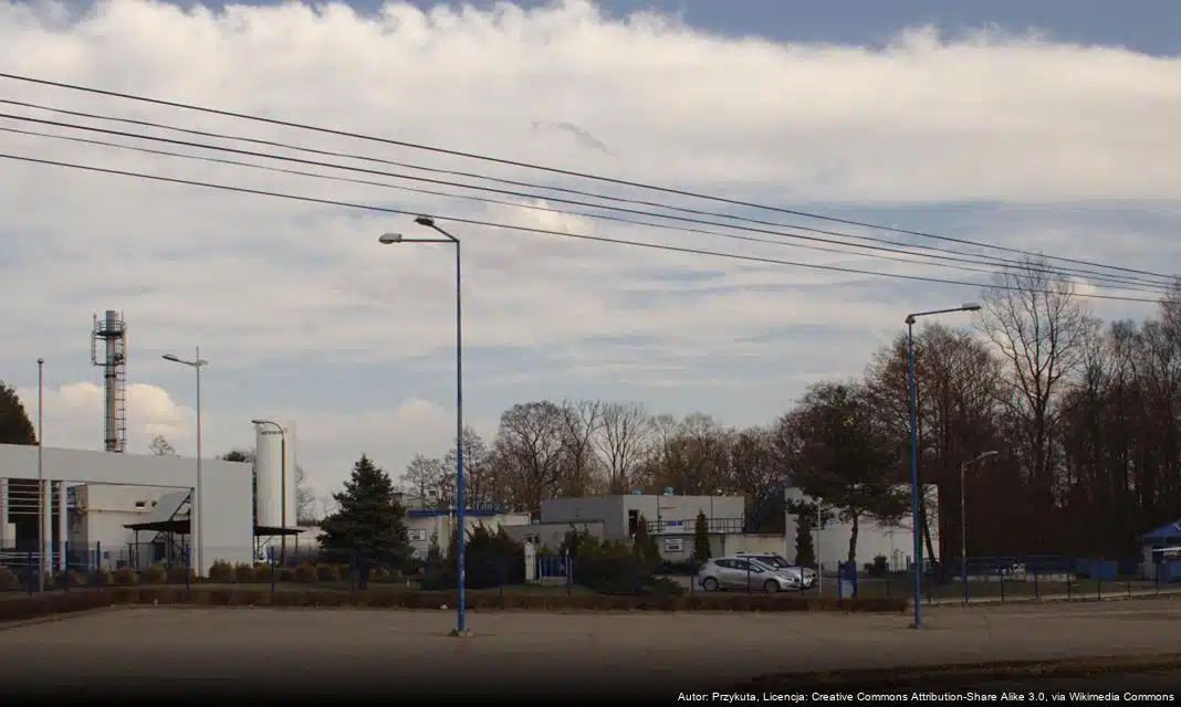 Choroba niebieskiego języka – zagrożenie dla przeżuwaczy