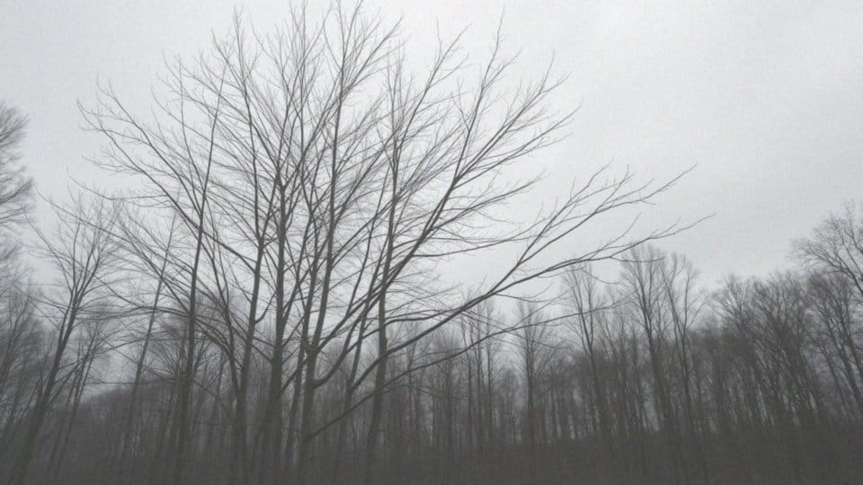 Wzmożony rysunek okołooskrzelowy – co to znaczy i jakie ma znaczenie?